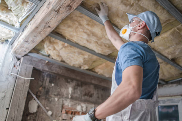 Best Insulation Maintenance and Repair in Pleasanton, CA